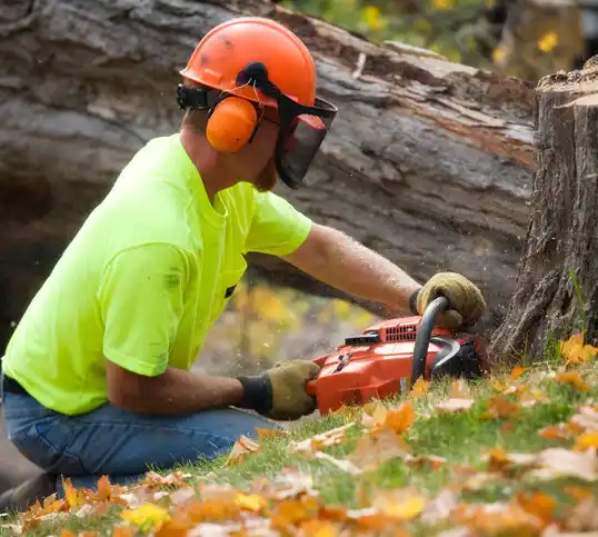 tree services Grantsboro